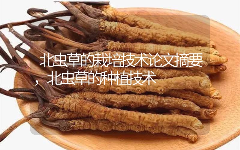 北蟲(chóng)草的栽培技術(shù)論文摘要，北蟲(chóng)草的種植技術(shù)