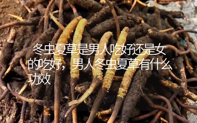 冬蟲(chóng)夏草是男人吃好還是女的吃好，男人冬蟲(chóng)夏草有什么作用
