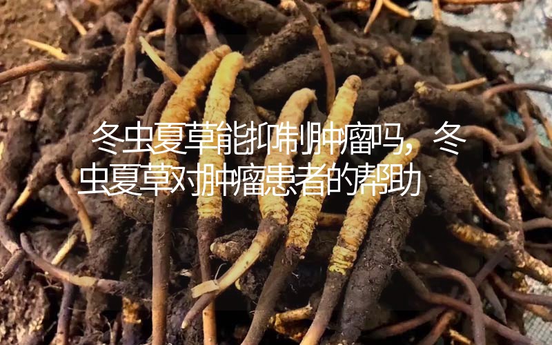 冬蟲夏草能抑制腫瘤嗎？冬蟲夏草對(duì)腫瘤患者的幫助