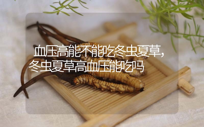 血壓高能不能吃冬蟲(chóng)夏草，冬蟲(chóng)夏草高血壓能吃嗎？