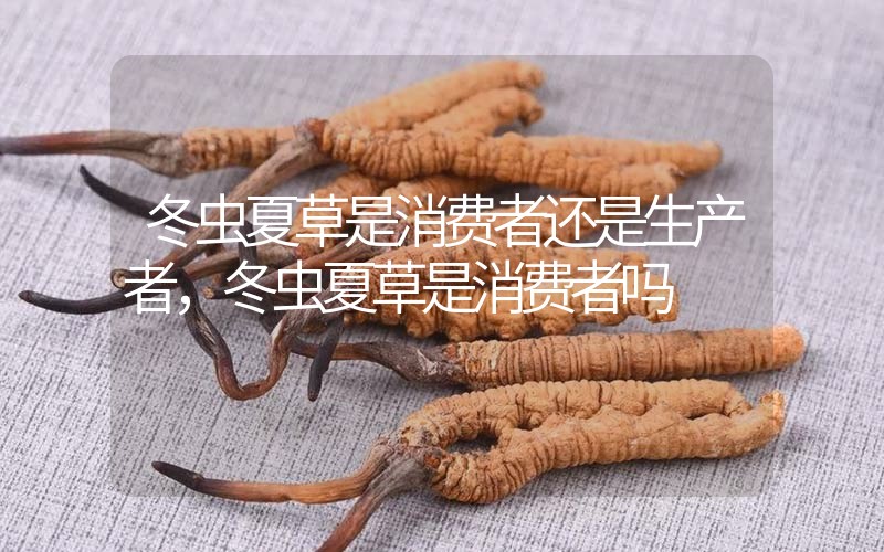 貧血吃冬蟲夏草有效果嗎，貧血虛弱者可以用冬蟲夏草嗎？