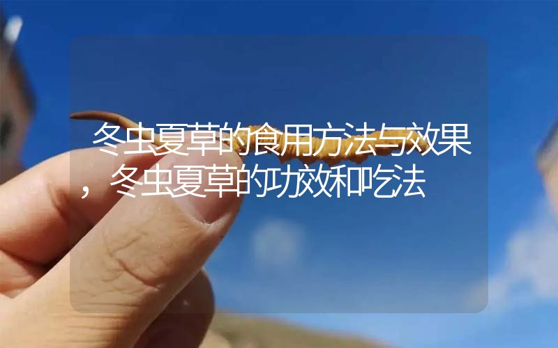 冬蟲夏草的食用方法與效果，冬蟲夏草的食用方法！