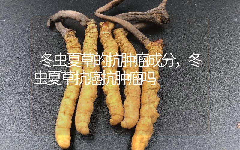 冬蟲夏草的抗腫瘤成分，冬蟲夏草抗癌抗腫瘤嗎？