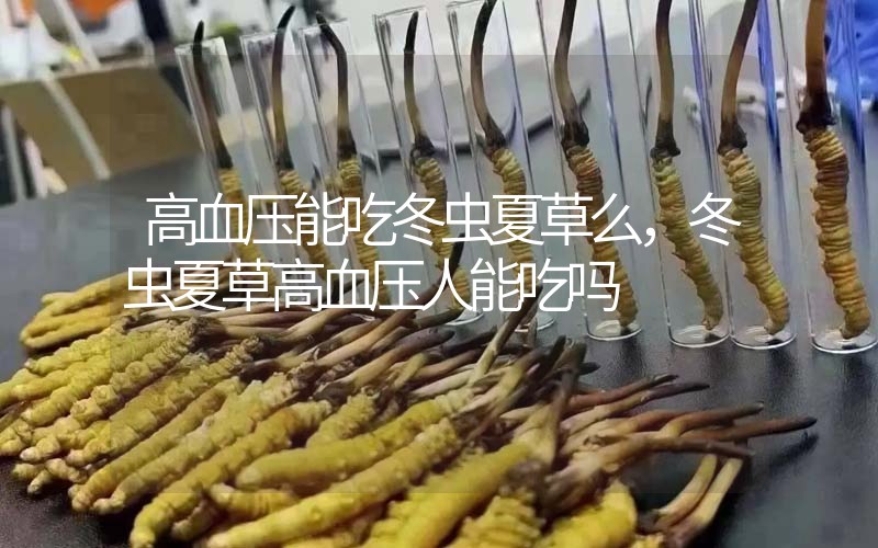 高血壓能吃冬蟲夏草么，冬蟲夏草高血壓人能吃嗎