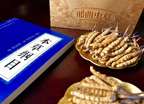 冬蟲夏草真就那么好嗎？它的主要功能是什么呀