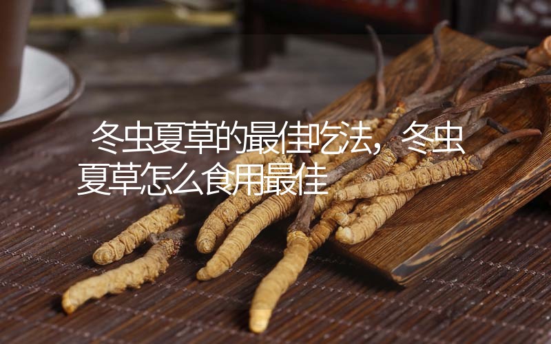冬蟲夏草的最佳吃法，冬蟲夏草怎么食用最佳