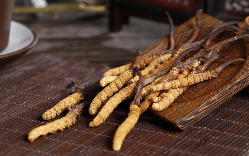 日皇牌冬蟲(chóng)夏草怎么吃?