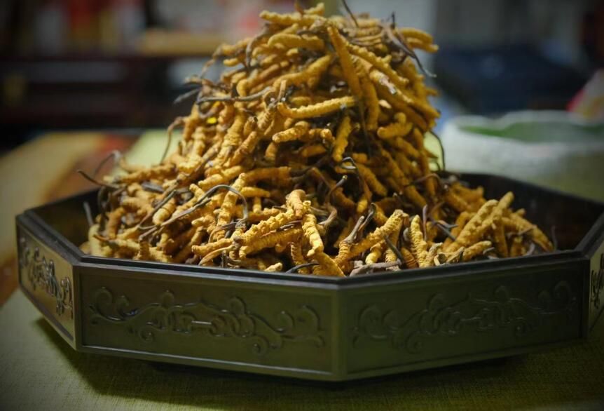 <a href=http://www.czfjwz.net/ target=_blank class=infotextkey>冬蟲夏草</a>