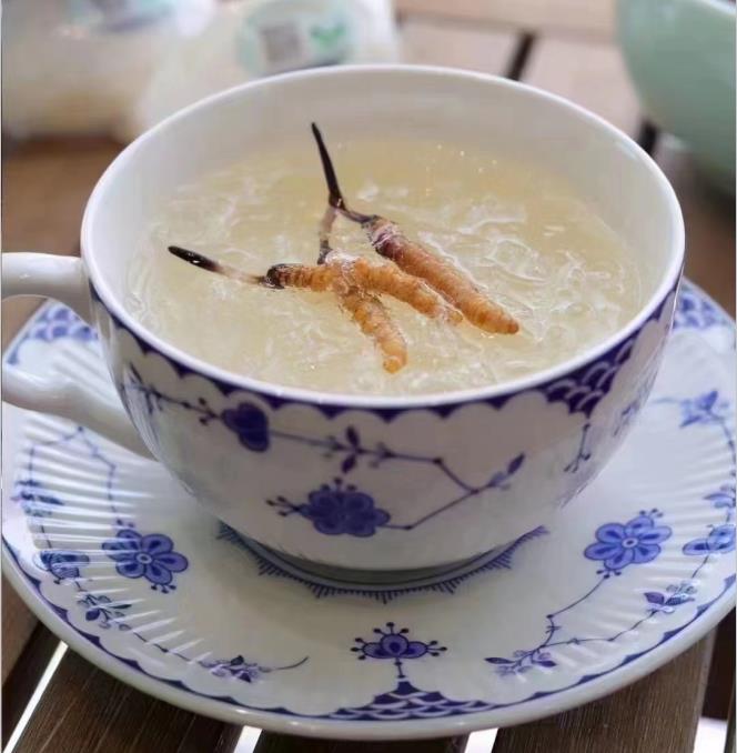 養(yǎng)生小竅門：冬蟲夏草燉什么好喝？