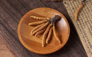 掌握竅門，如何辨別優(yōu)質冬蟲夏草，保障健康！