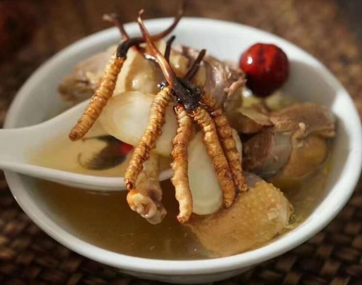 冬蟲夏草可以空腹吃嗎？