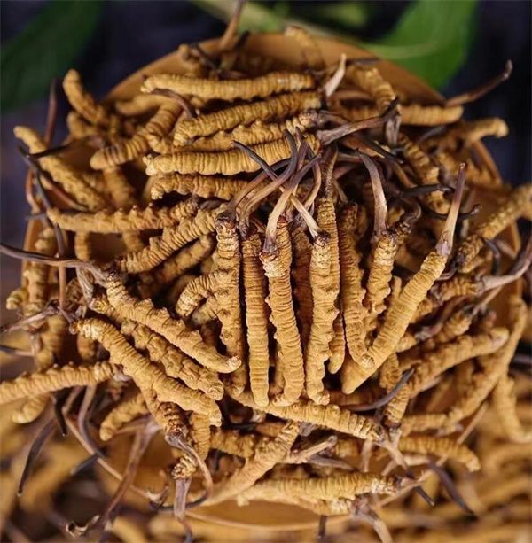 冬蟲夏草和西瓜子可以一起食用。冬蟲夏草被認為具有滋陰補腎、益氣養(yǎng)血的作用，而西瓜子富含蛋白質(zhì)、脂肪、維生素B、鎂等營養(yǎng)物質(zhì)，有助于促進消化、補充能量等。