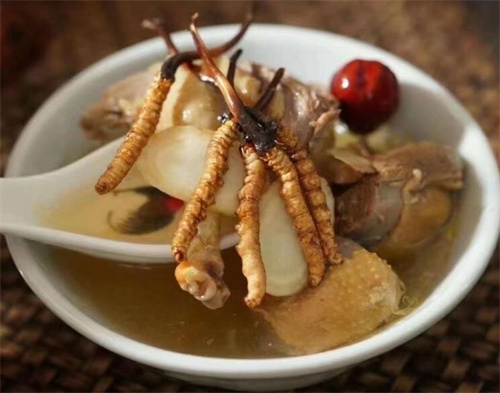 冬蟲(chóng)夏草用什么壺煮水？