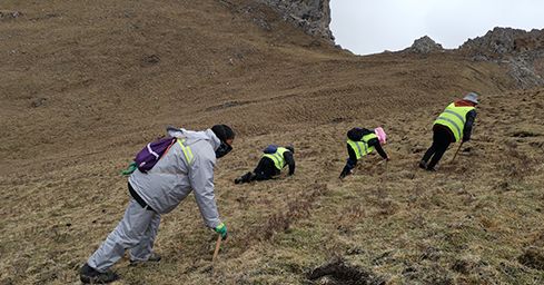 <a href=http://www.czfjwz.net/sdph/zf/ target=_blank class=infotextkey>珍峰冬蟲夏草</a>:源自世界屋脊的養(yǎng)生瑰寶