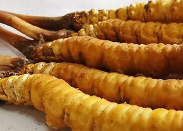 <a href=http://www.czfjwz.net/sdph/zf/ target=_blank class=infotextkey>珍峰冬蟲夏草</a>主要的銷售模式