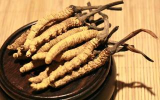 冬蟲夏草的價格一克：為何如此昂貴？