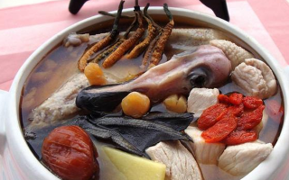 小孩可以喝冬蟲(chóng)夏草嗎