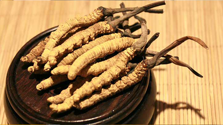 未來(lái)冬蟲(chóng)夏草會(huì)漲價(jià)嗎？