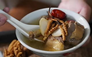 冬蟲夏草搭配有道，滋養(yǎng)肺部效果妙