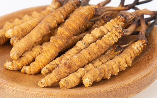 冬蟲(chóng)夏草王價(jià)格探秘