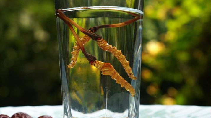 <a href=http://www.czfjwz.net/xinxian/ target=_blank class=infotextkey>鮮冬蟲夏草</a>怎么泡好吃？這些配方讓滋補(bǔ)更有滋味