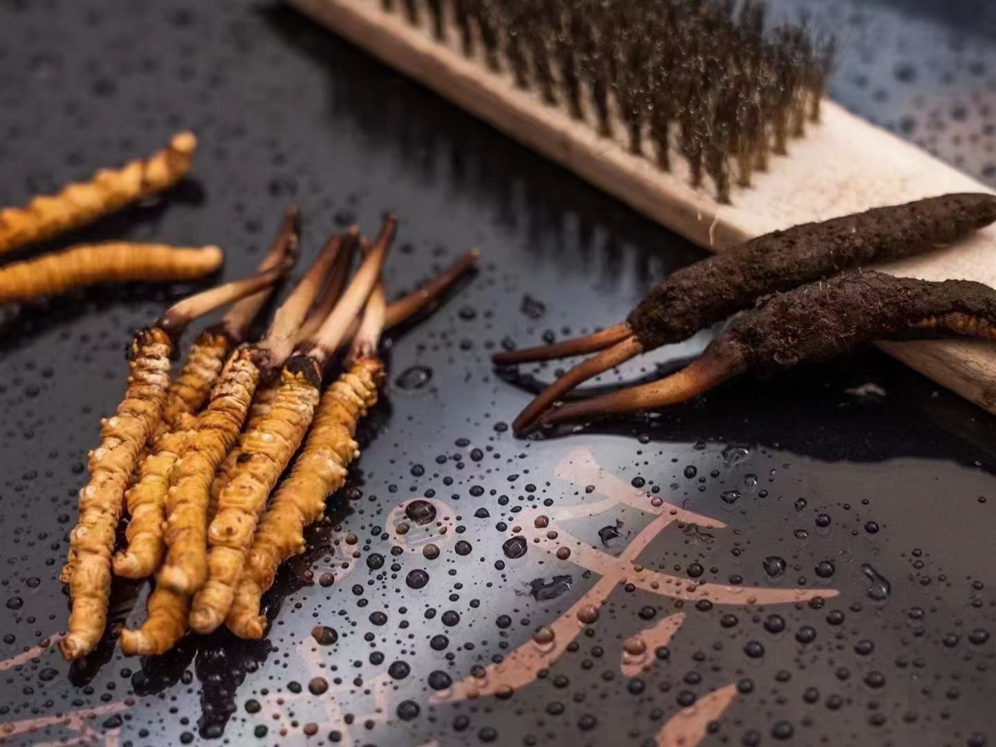 冬蟲夏草鮮草清理全指南:洗凈滋補(bǔ)好食材