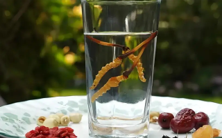 冬蟲夏草鮮品泡酒：養(yǎng)生佳釀還是健康隱患？