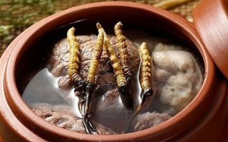 鮮冬蟲(chóng)夏草吃多會(huì)上火嗎？一文解析真相