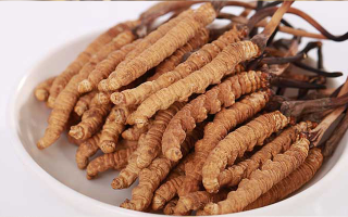 冬蟲夏草適合所有人群?jiǎn)?？一文揭?> </div>
            <div   id=