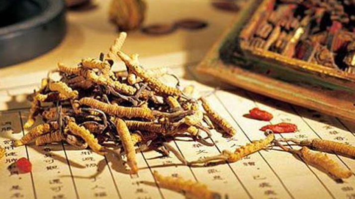 長期吃冬蟲夏草的好處:傳統(tǒng)滋補(bǔ)與現(xiàn)代健康的奇妙碰撞