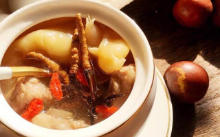 冬蟲夏草與什么泡水喝？養(yǎng)生搭配指南