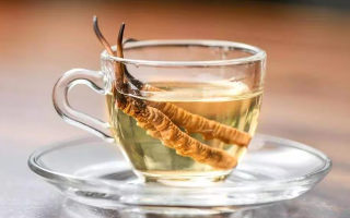 一杯蟲草水，健康新滋味：冬蟲夏草泡水喝的奇妙功效