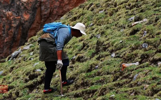 冬蟲(chóng)夏草什么時(shí)候采挖？最佳采挖時(shí)節(jié)與科學(xué)依據(jù)