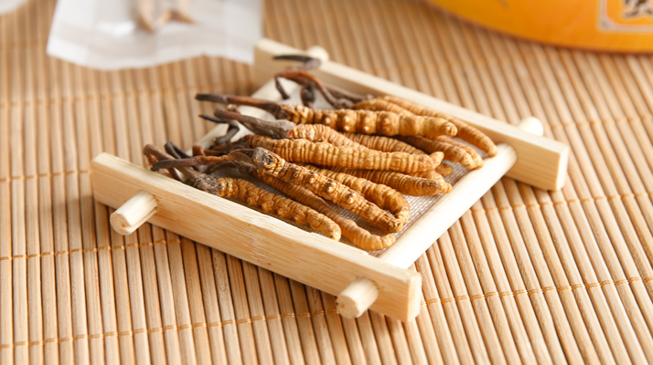 冬蟲(chóng)夏草一般多少錢一斤？?jī)r(jià)格背后的價(jià)值解析