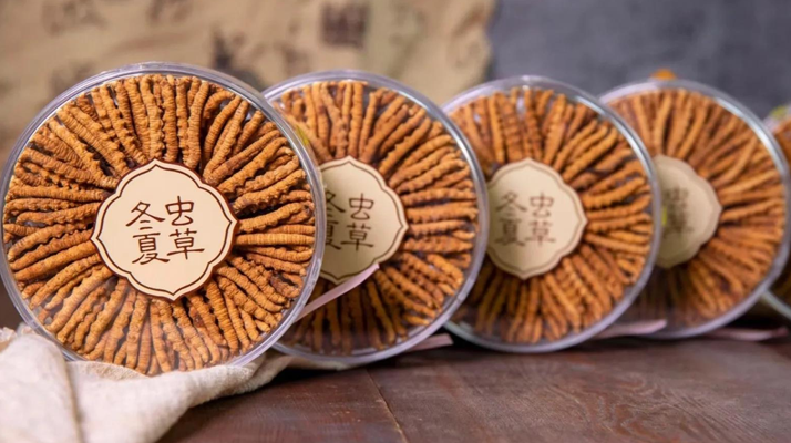 2025年7月冬蟲夏草價格行情公布！<a href=http://www.czfjwz.net/jiage/ target=_blank class=infotextkey>蟲草價格</a>降了！