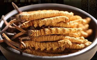 冬蟲夏草燉湯會(huì)上火嗎？科學(xué)解析滋補(bǔ)與上火的平衡之道