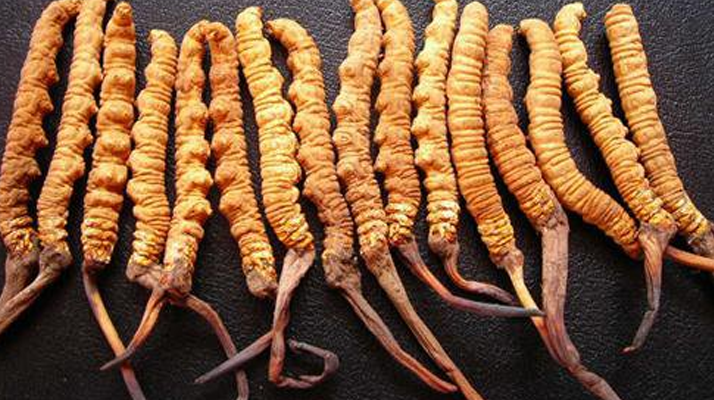 一克<a href=http://www.czfjwz.net/jiage/ target=_blank class=infotextkey>冬蟲夏草多少錢</a>？解密天價背后的價格密碼