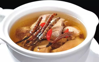 冬蟲夏草對(duì)性功能有幫助嗎？