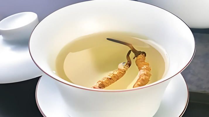 冬蟲夏草泡水喝泡幾分鐘