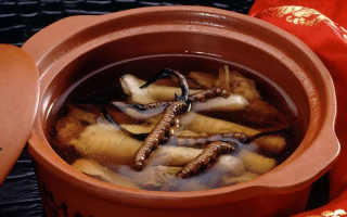 糖尿病可服用冬蟲夏草嗎？科學(xué)解析其調(diào)理價(jià)值與注意事項(xiàng)