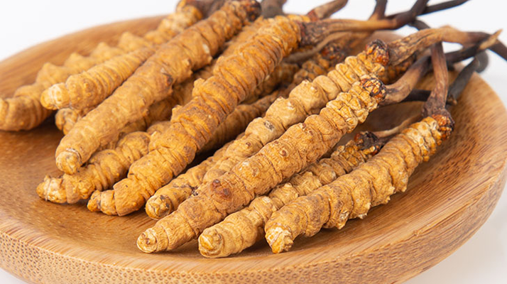 冬蟲夏草，真有那么大效果？