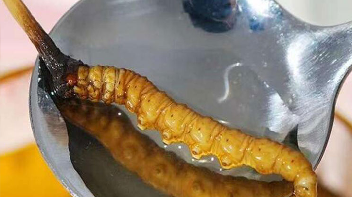 水煮鮮冬蟲夏草:保留營養(yǎng)的最佳做法