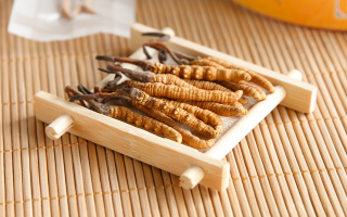 冬蟲夏草可以干燥存放嗎？科學(xué)儲存方法與注意事項