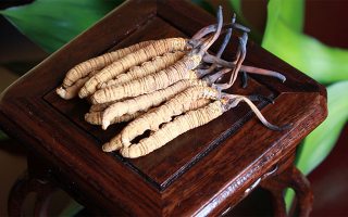 探秘長期收購冬蟲夏草的買家：市場脈絡(luò)中的關(guān)鍵角色