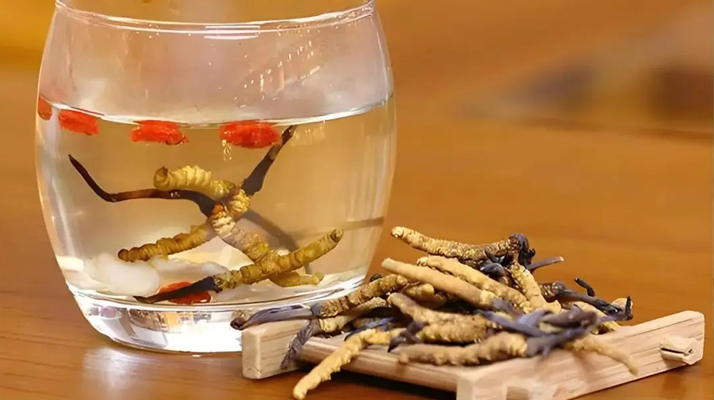 長期喝冬蟲夏草泡水好嗎？科學分析與飲用指南