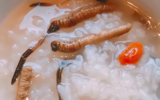 冬蟲夏草適合哪些人群？精準匹配與禁忌提醒