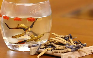 長期喝冬蟲夏草泡水好嗎？科學分析與飲用指南