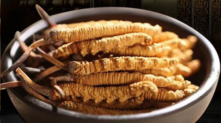 冬蟲夏草效果好不好用？科學與實踐視角下的全面解析