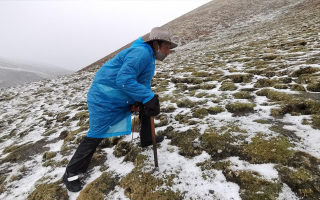 西藏挖冬蟲(chóng)夏草在什么時(shí)候？產(chǎn)區(qū)與時(shí)間全攻略