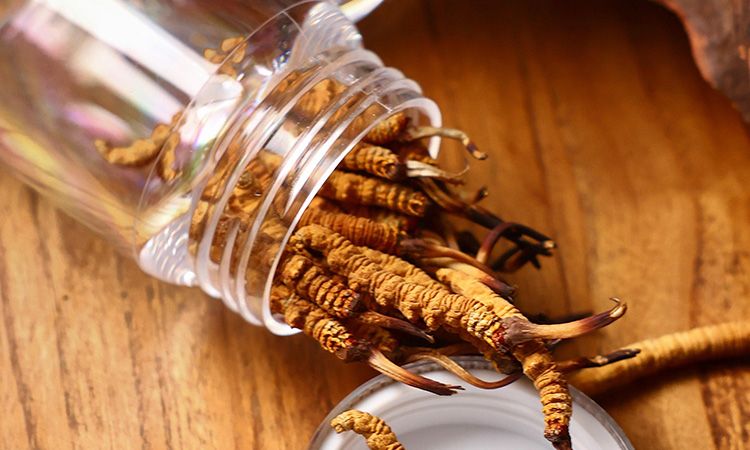 <a href=http://www.czfjwz.net/jiage/ target=_blank class=infotextkey>冬蟲夏草多少錢</a>一條 